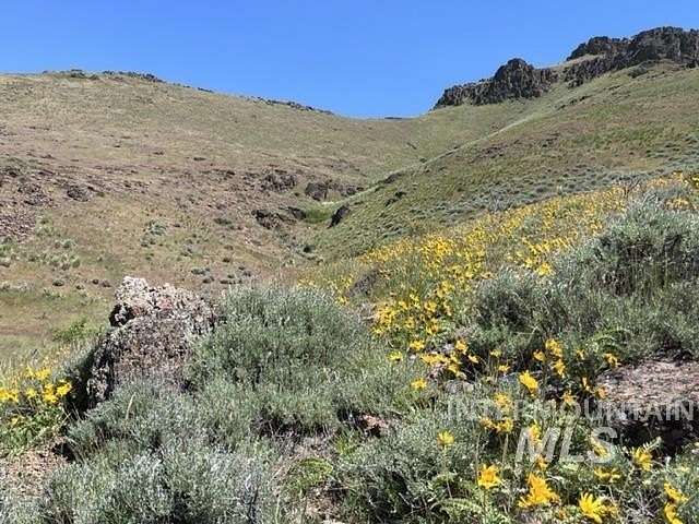 31.7 Acres of Land for Sale in Mountain Home, Idaho