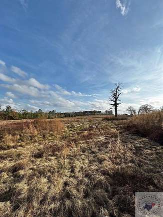 20.3 Acres of Land for Sale in Linden, Texas