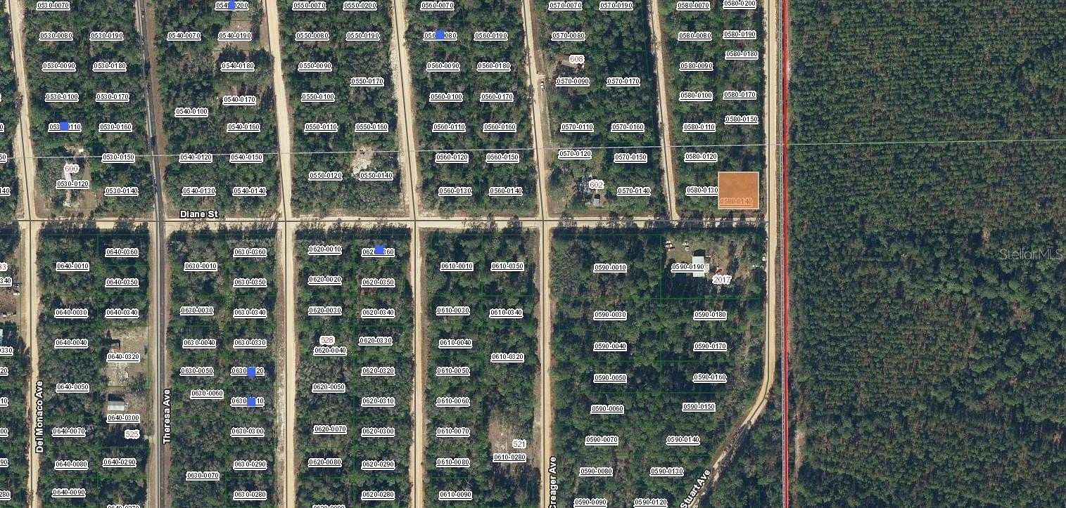 0.21 Acres of Residential Land for Sale in Interlachen, Florida
