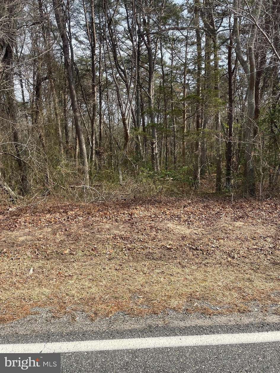 0.56 Acres of Land for Sale in Cedarville, New Jersey