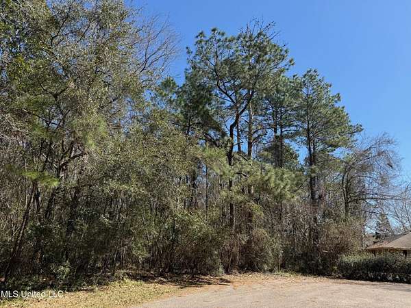 0.24 Acres of Residential Land for Sale in Diamondhead, Mississippi