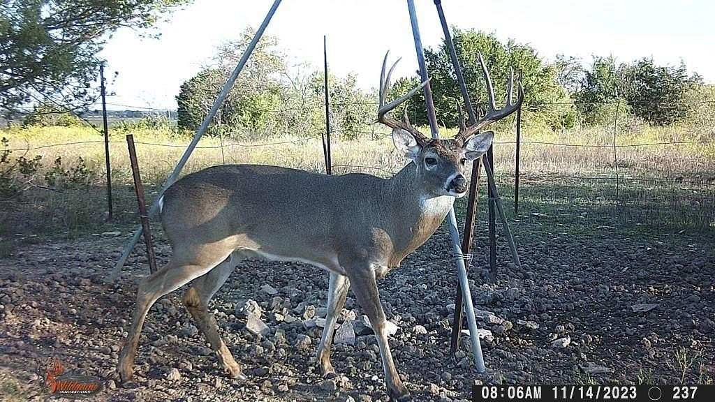 400 Acres of Agricultural Land for Sale in Carlton, Texas