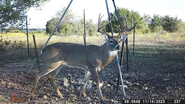 400 Acres of Land for Sale in Carlton, Texas