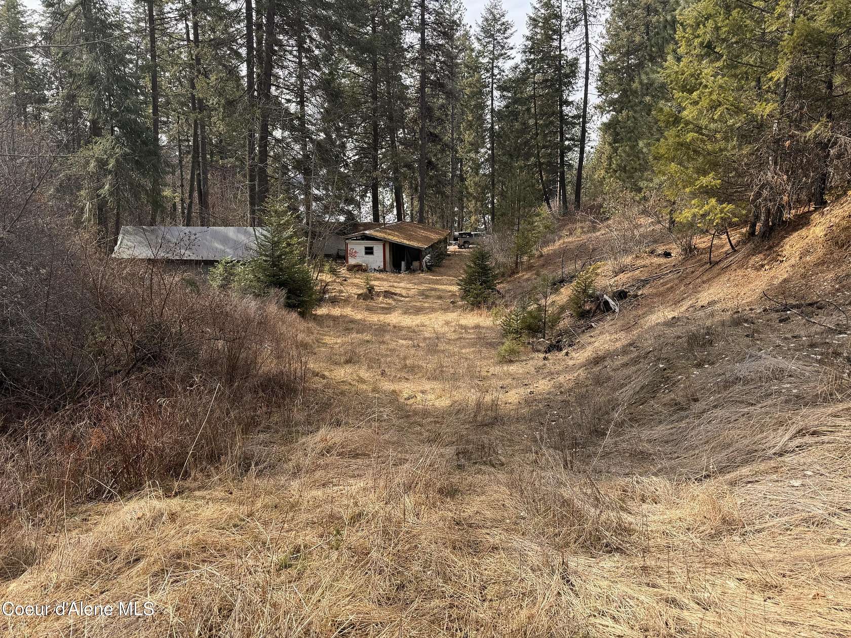 5.2 Acres of Residential Land with Home for Sale in Harrison, Idaho