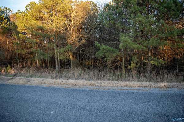 4 Acres of Land for Sale in Boaz, Alabama