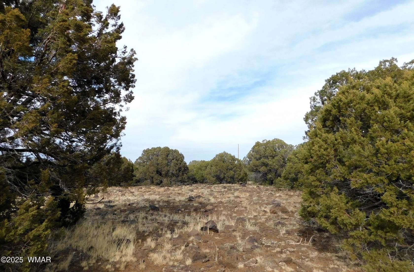 20 Acres of Land for Sale in Vernon, Arizona
