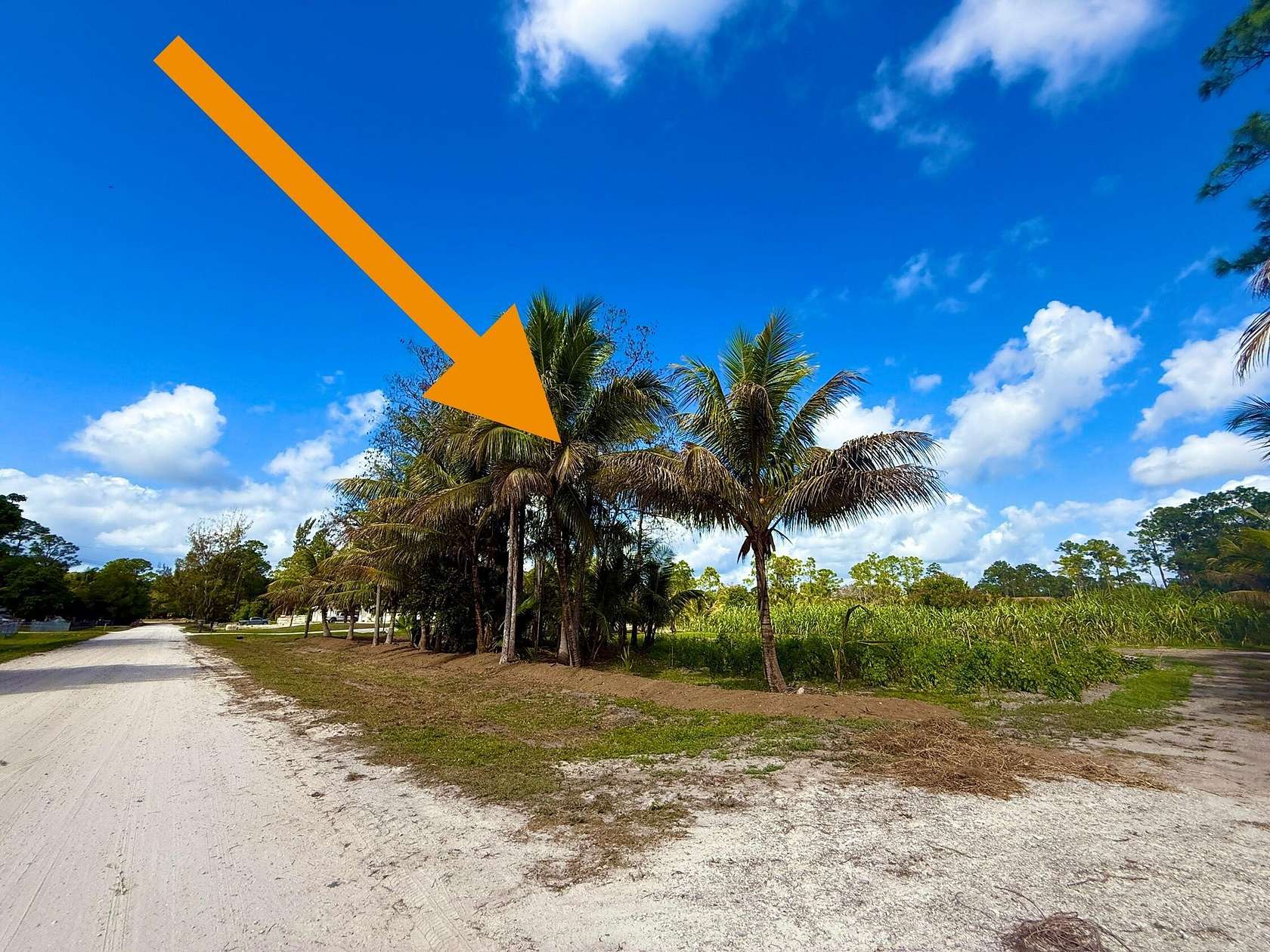 1.14 Acres of Residential Land for Sale in The Acreage, Florida