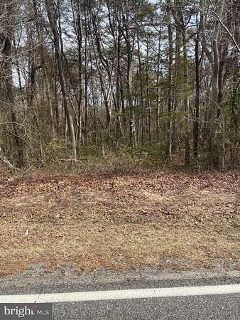 0.35 Acres of Land for Sale in Cedarville, New Jersey