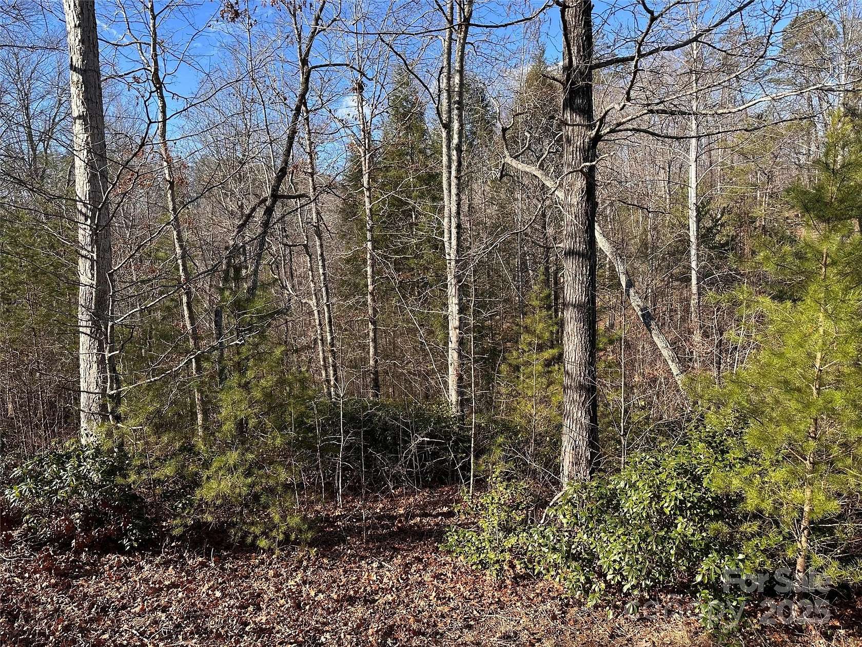 1.17 Acres of Land for Sale in Lake Lure, North Carolina