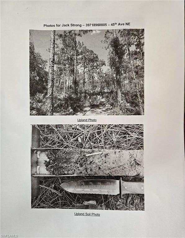 5 Acres of Residential Land for Sale in Naples, Florida