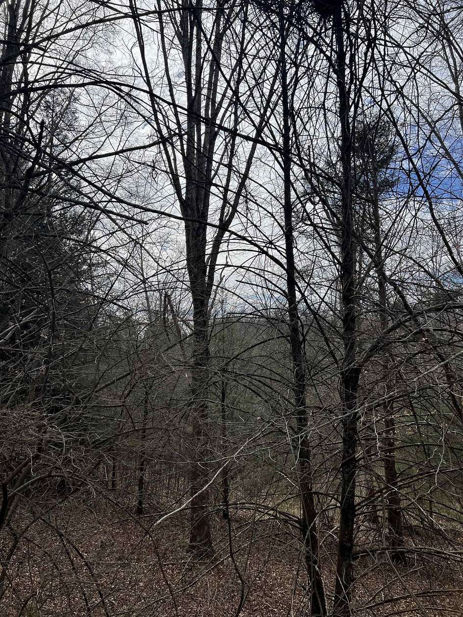 11.9 Acres of Land for Sale in Raphine, Virginia