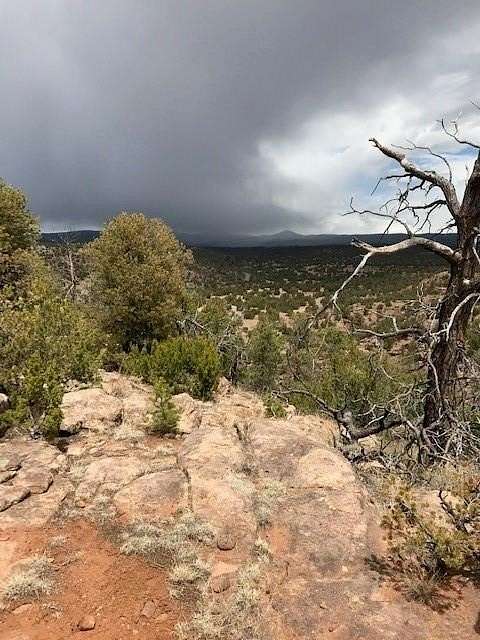 62.3 Acres of Agricultural Land for Sale in San Jose, New Mexico