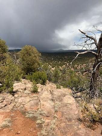 62.3 Acres of Agricultural Land for Sale in San Jose, New Mexico