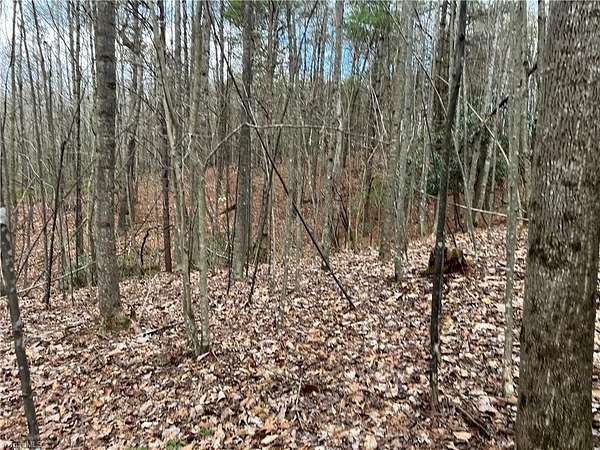 1.49 Acres of Residential Land for Sale in Dobson, North Carolina