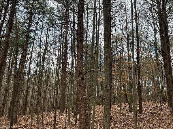 1.38 Acres of Residential Land for Sale in Dobson, North Carolina