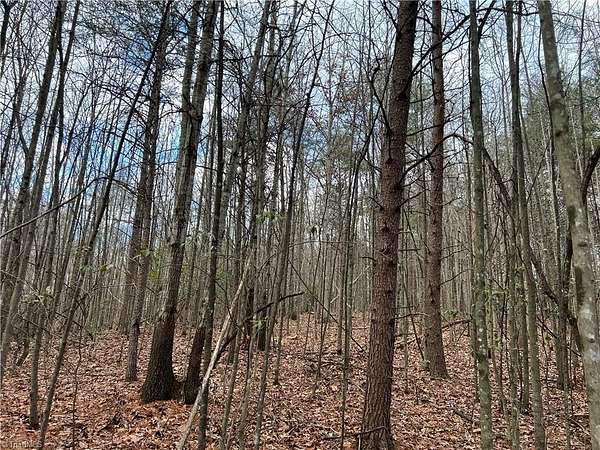 1.4 Acres of Residential Land for Sale in Dobson, North Carolina
