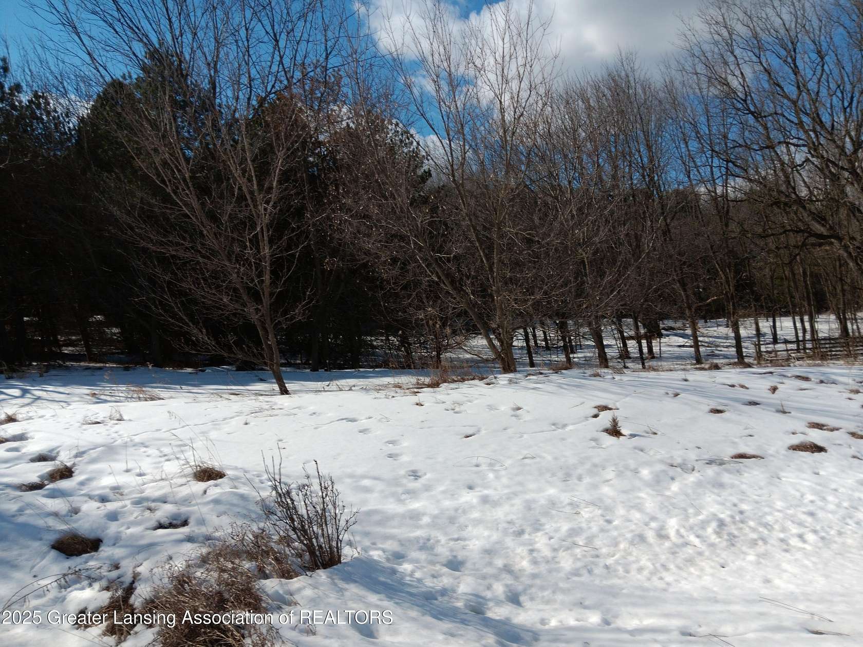 14 Acres of Land for Sale in Owosso, Michigan