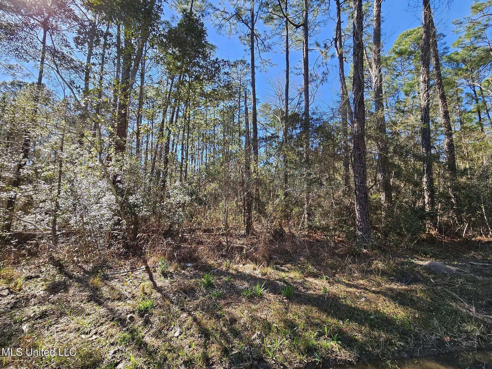 0.11 Acres of Residential Land for Sale in Pass Christian, Mississippi