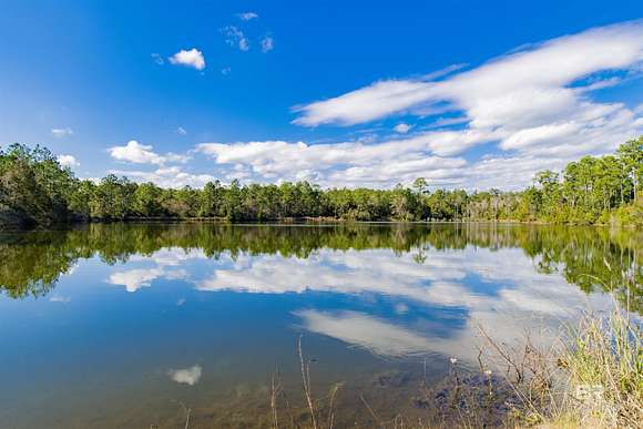 21.9 Acres of Agricultural Land for Sale in Seminole, Alabama