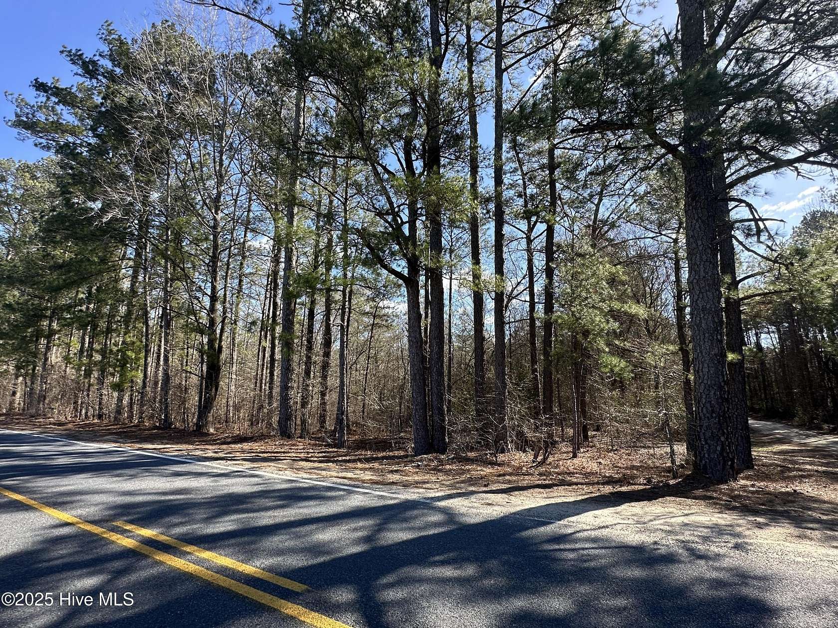 4.6 Acres of Residential Land for Sale in Laurel Hill, North Carolina ...