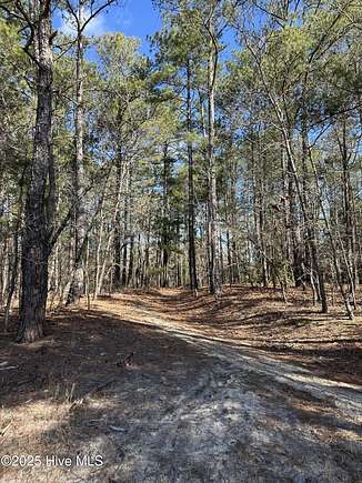 4.6 Acres of Residential Land for Sale in Laurel Hill, North Carolina ...