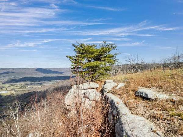6.42 Acres of Residential Land for Sale in Menlo, Georgia
