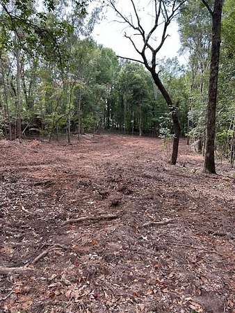 1 Acre of Land for Sale in Dalzell, South Carolina