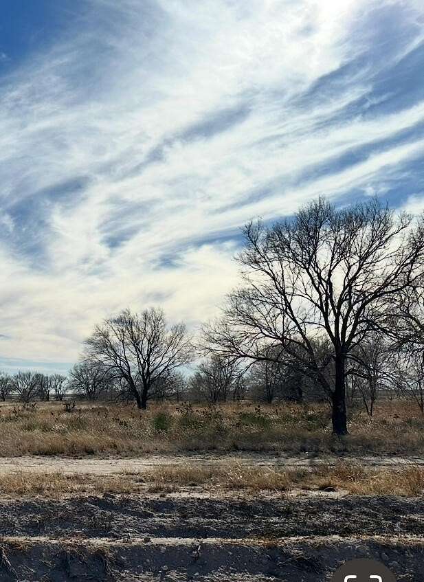 31.3 Acres of Land for Sale in Muleshoe, Texas