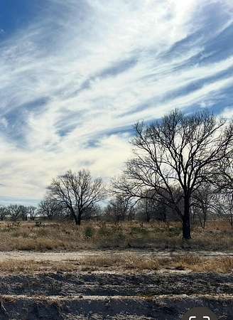 31.3 Acres of Land for Sale in Muleshoe, Texas