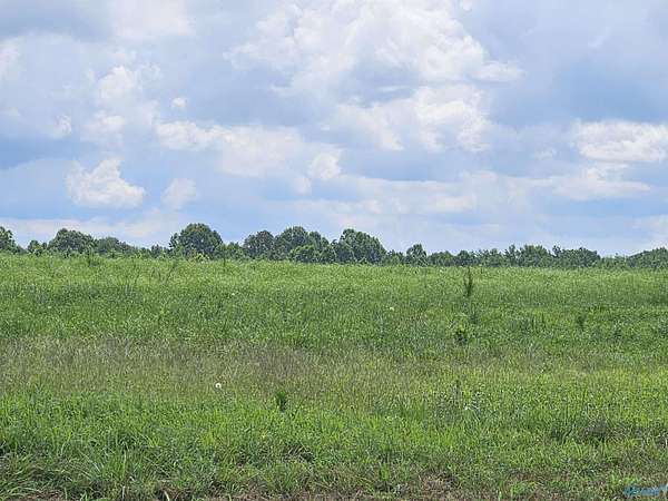 1.77 Acres of Mixed-Use Land for Sale in Hazel Green, Alabama