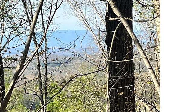 1.67 Acres of Land for Sale in Blairsville, Georgia