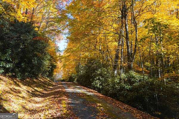 7.18 Acres of Land for Sale in Dillard, Georgia