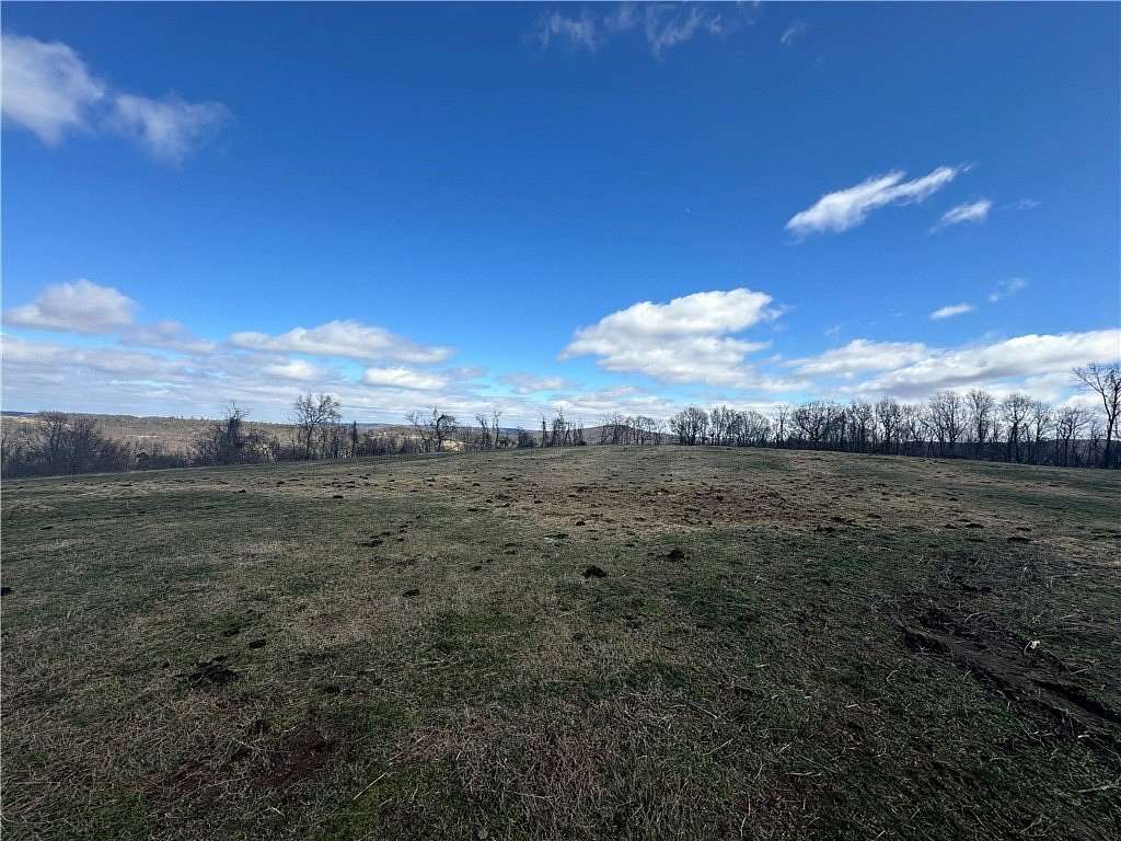 40 Acres of Recreational Land with Home for Sale in Berryville, Arkansas