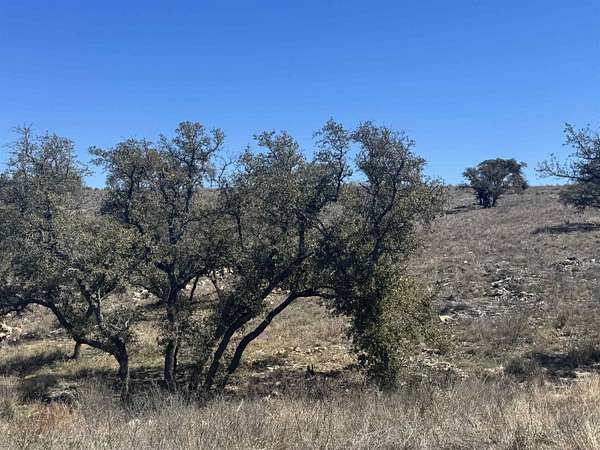 2.65 Acres of Residential Land for Sale in Kingsland, Texas