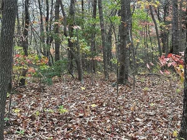3 Acres of Residential Land for Sale in Ellijay, Georgia