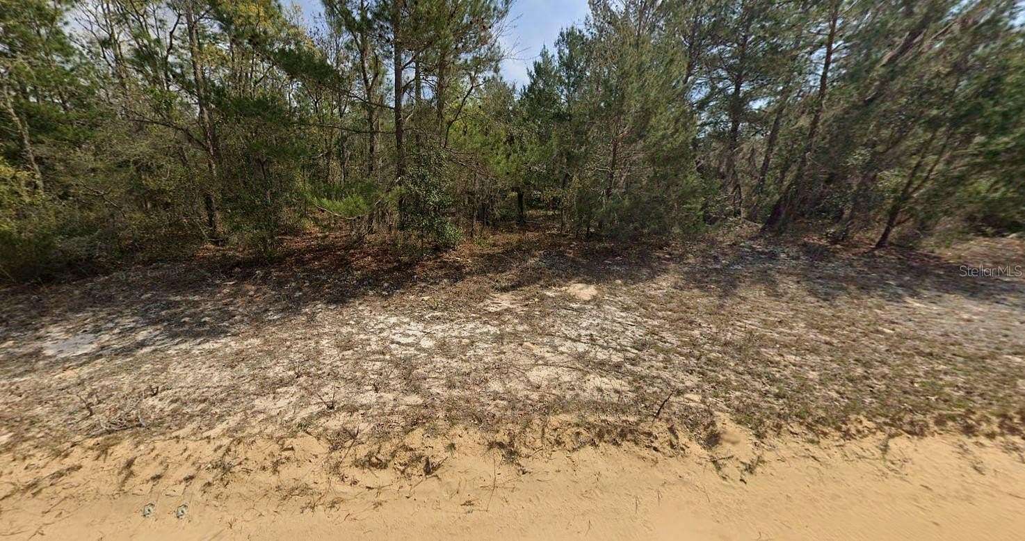 0.43 Acres of Residential Land for Sale in Interlachen, Florida