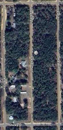 0.43 Acres of Residential Land for Sale in Interlachen, Florida
