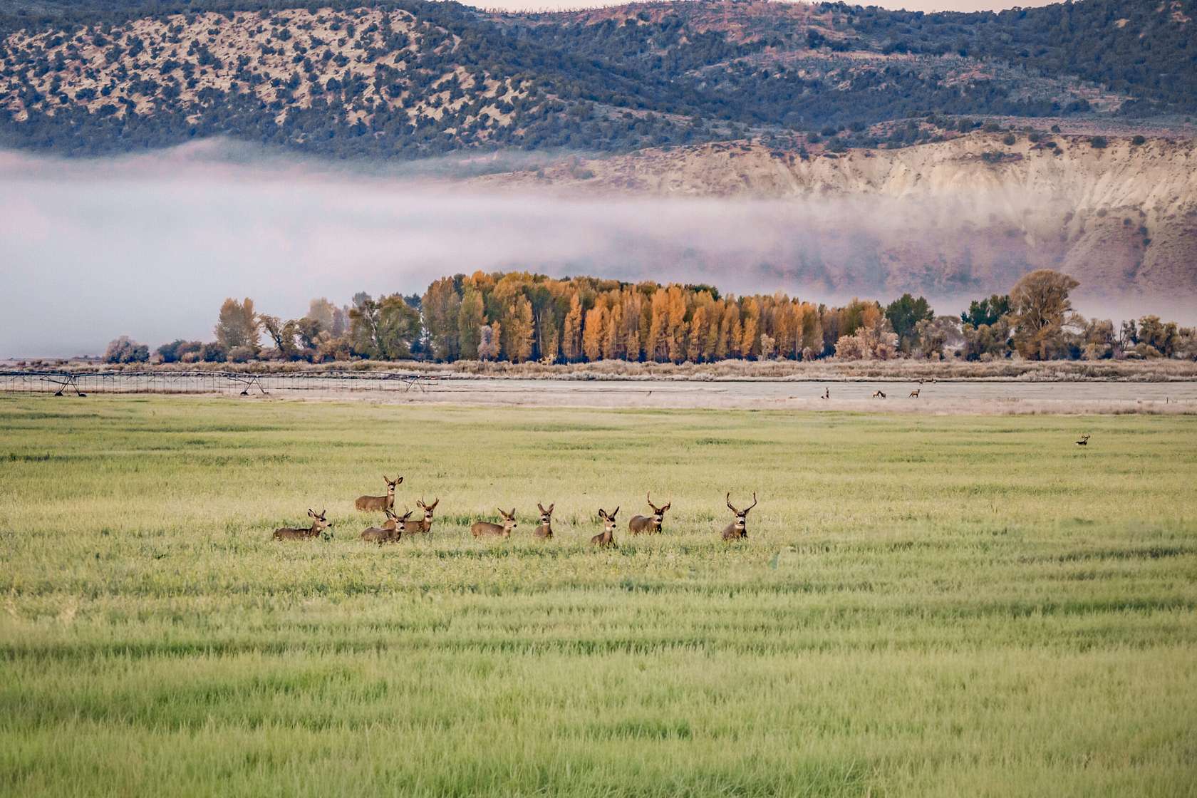 2,074 Acres of Land for Sale in Craig, Colorado
