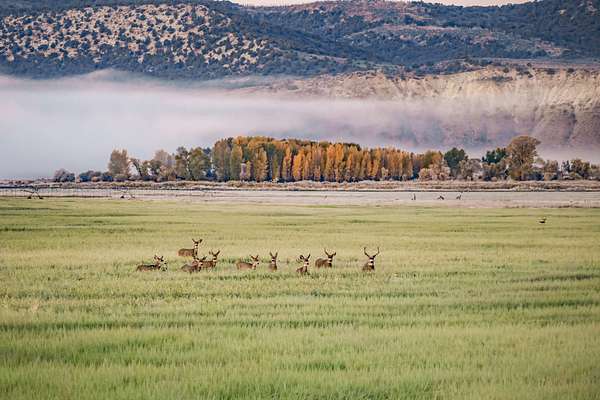 2,074 Acres of Land for Sale in Craig, Colorado