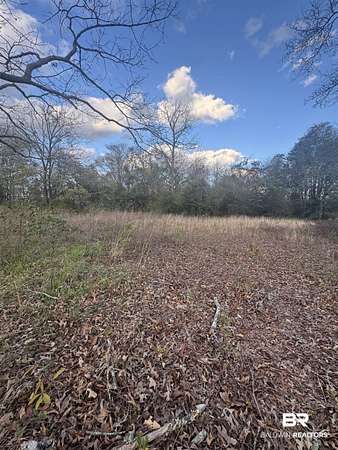 1.6 Acres of Residential Land for Sale in Monroeville, Alabama