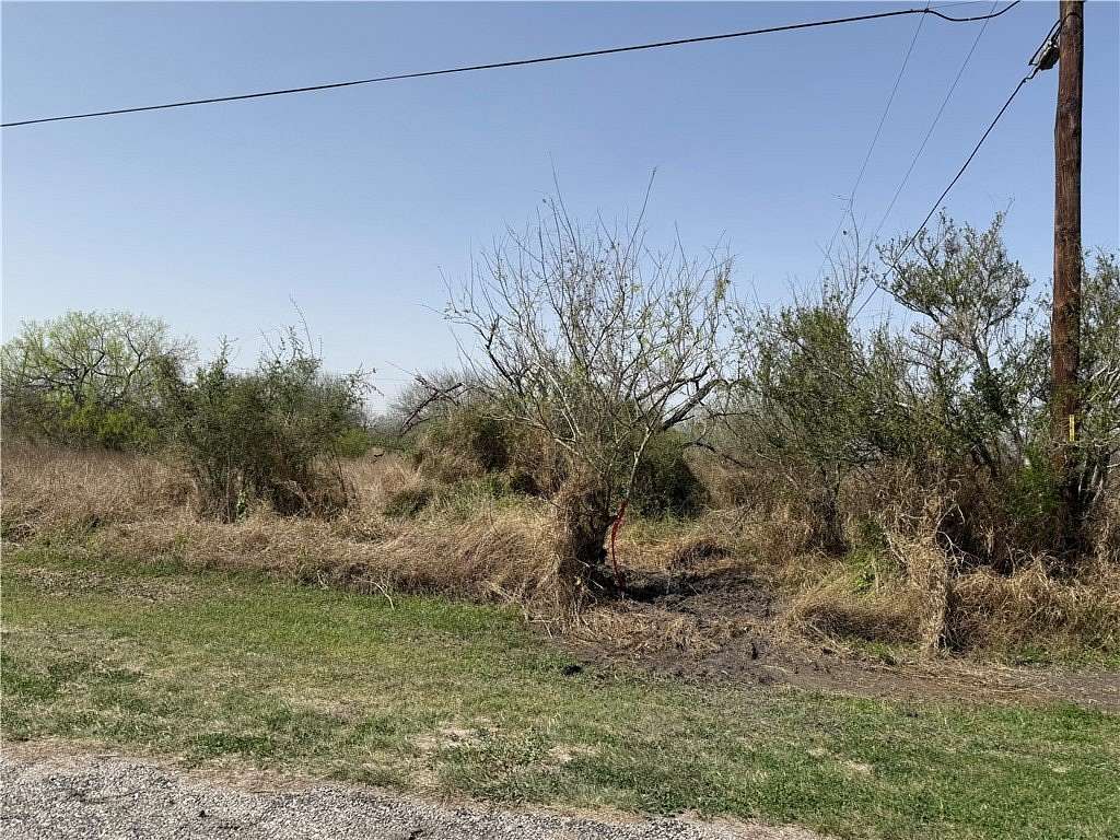 0.31 Acres of Land for Sale in Alice, Texas