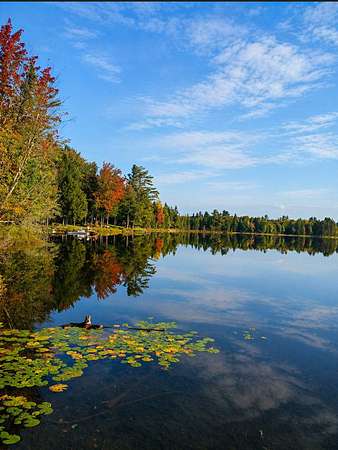 4 Acres of Land for Sale in Iron River Township, Michigan