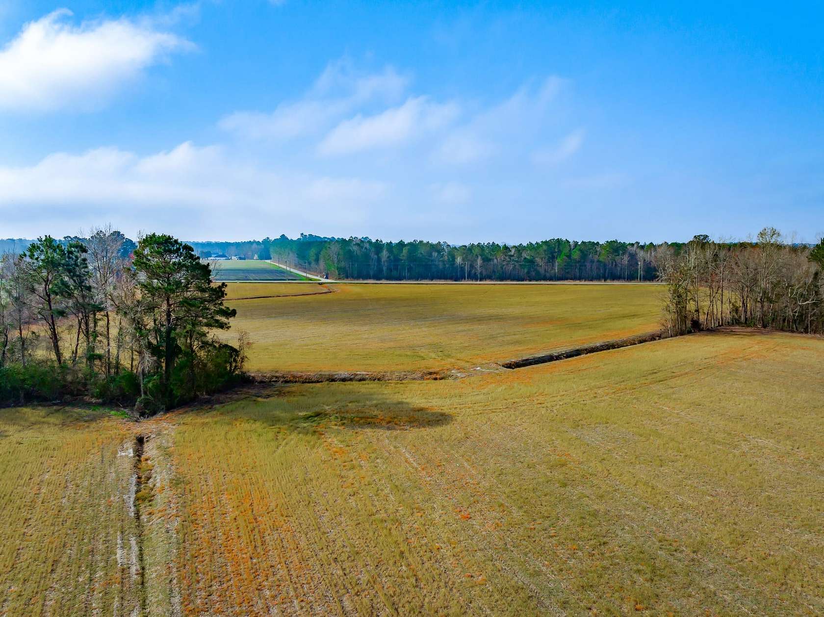 33.6 Acres of Recreational Land & Farm for Sale in Green Sea, South Carolina