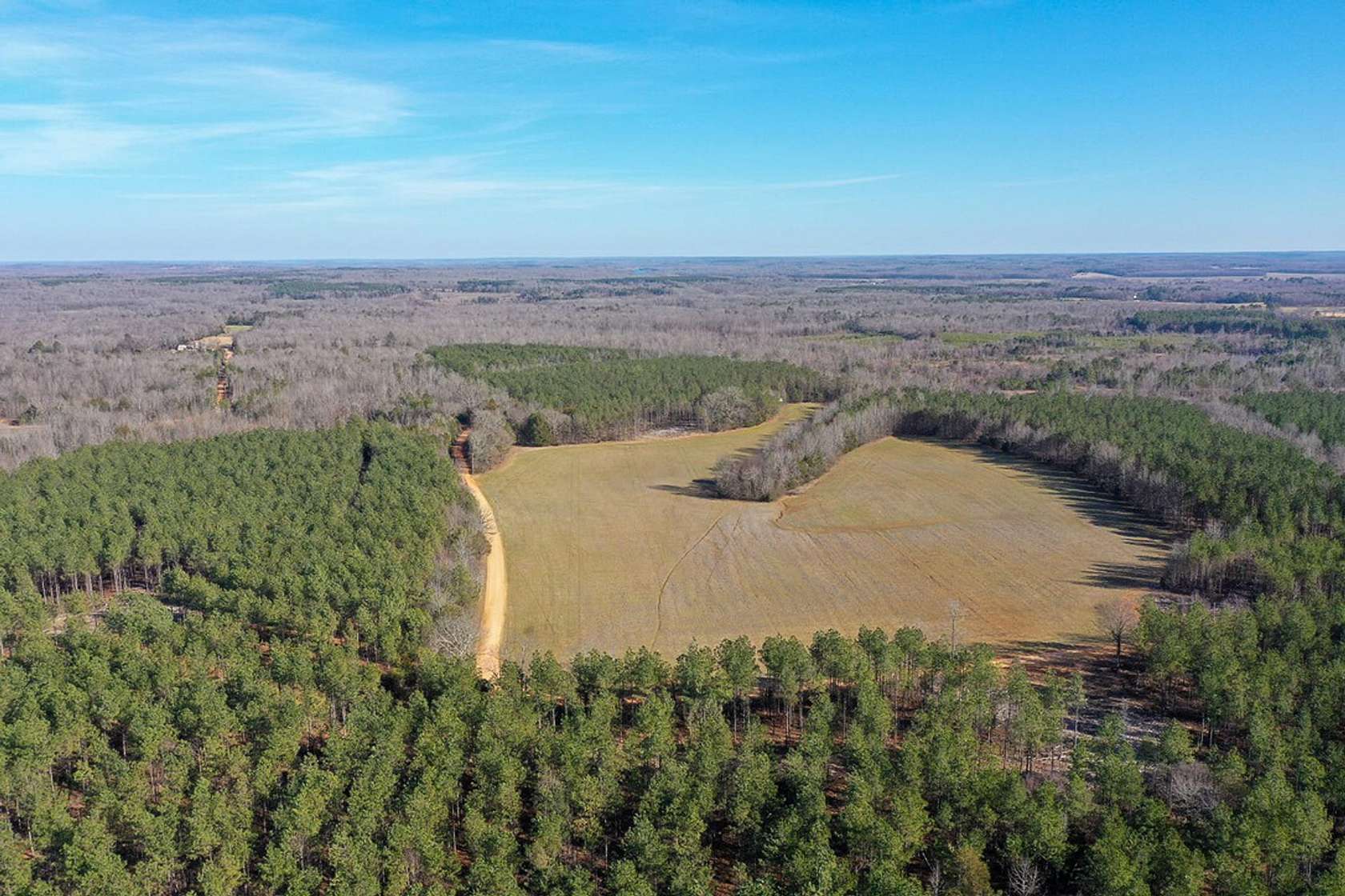 215 Acres of Recreational Land for Sale in Saltillo, Tennessee