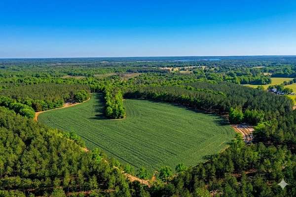 215 Acres of Recreational Land for Sale in Saltillo, Tennessee
