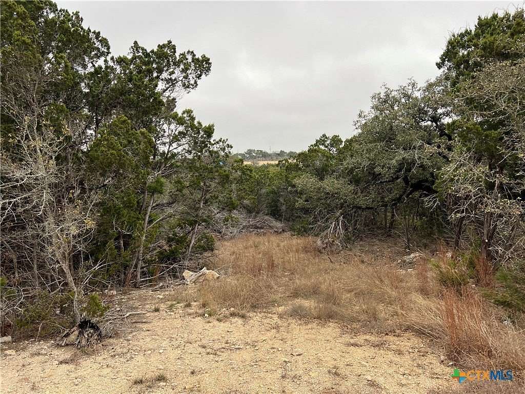0.33 Acres of Residential Land for Sale in Spring Branch, Texas