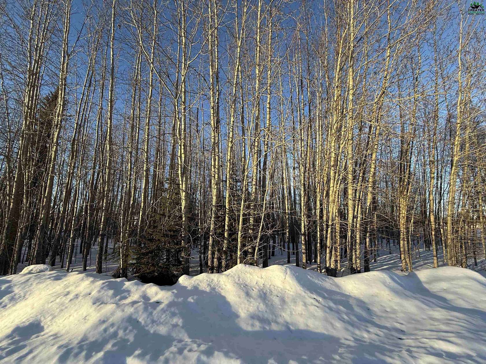 0.23 Acres of Residential Land for Sale in North Pole, Alaska