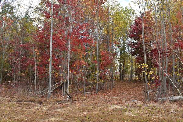 0.6 Acres of Residential Land for Sale in Jasper, Tennessee