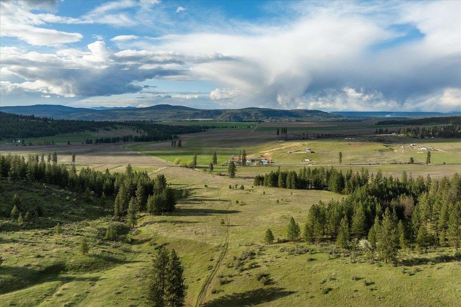 20 Acres of Land for Sale in Reardan, Washington