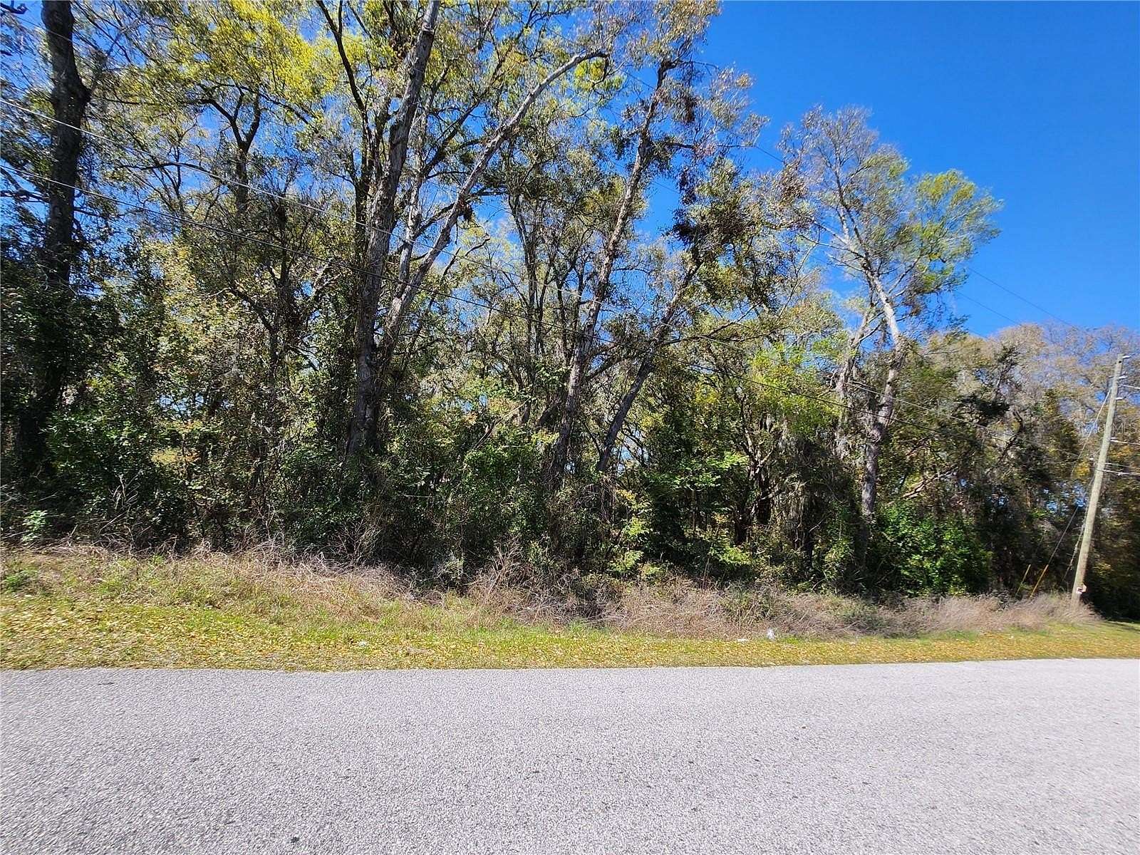 0.34 Acres of Residential Land for Sale in Citrus Springs, Florida